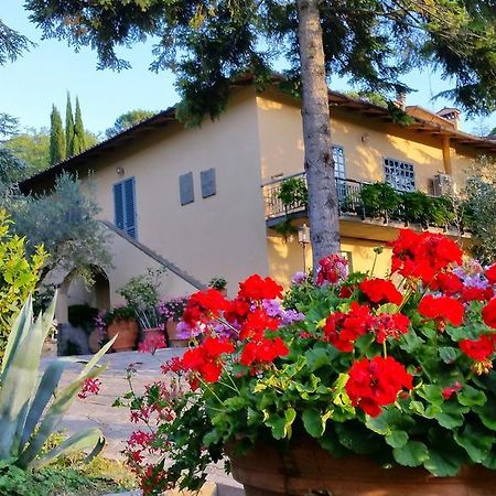 Ulivi Di Castello Bed & Breakfast Florenţa Exterior foto