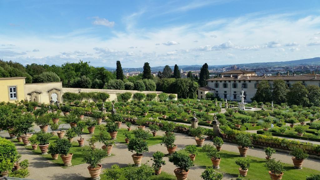 Ulivi Di Castello Bed & Breakfast Florenţa Exterior foto